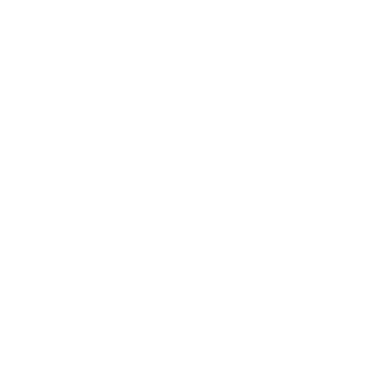 Webinar-Icono